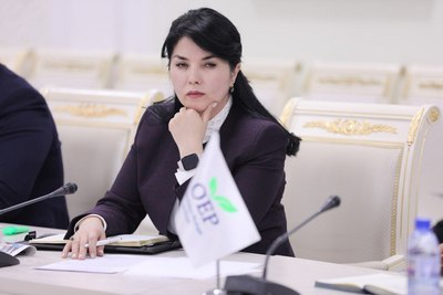 Гулчеҳра ТОЖИБОЕВА:  &laquo;Экологик хавфсизлик  миллий  хавфсизликнинг ажралмас қисмига айланган&raquo;