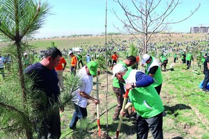 Андижонда  &laquo;яшил белбоғ&raquo;лар кенгаймоқда