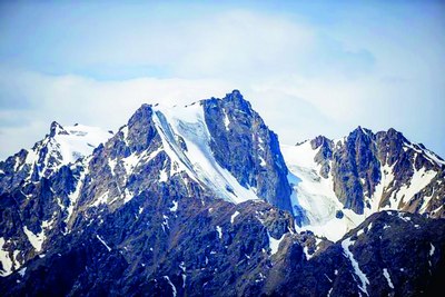 2025 йил музликлар  учун энг  вайронкор  йил бўлди